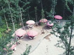 -金鸡山公园