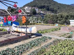 -宁波九龙湖开元度假村