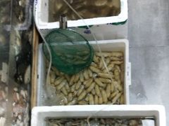 -阿杰臻选海鲜饭店(普陀山店)