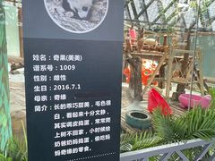-青藏高原野生动物园