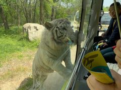 -西安秦岭野生动物园