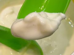 -Salud撒露欧洲冻酸奶(蓝色港湾店)