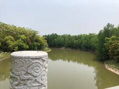 -上海海湾国家森林公园