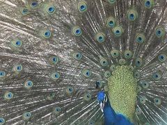 -南京金牛湖风景区