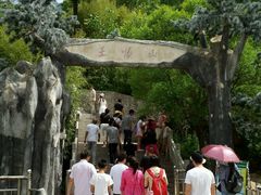 -王顺山国家森林公园