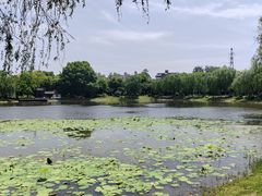 -堤角公园