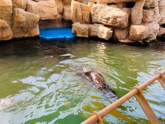 -华夏文旅海洋公园