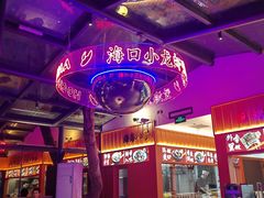 -海岛八号龙虾烧烤田鸡(蓝天路总店)