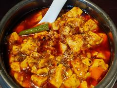 -陈麻婆豆腐总店
