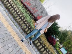 -南翔镇银翔湖公园