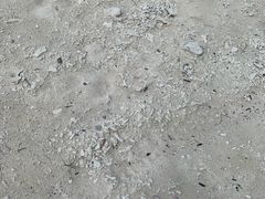 -环滩岛