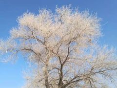 -莫泰酒店(哈尔滨秋林医大一院地铁站店)