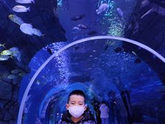 -哈尔滨波塞冬海底世界