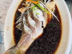 -南燕湾渔家码头