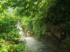 -金鸡山公园