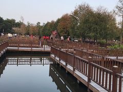 -五缘湾湿地公园