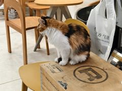 -玫瑰咖啡(中山六路店)