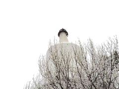 -北海公园