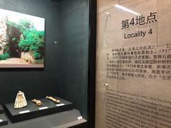 -北京周口店北京人遗址博物馆