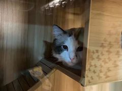 -白兔子密室(长寿路店)