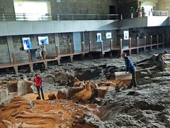 -自贡恐龙博物馆