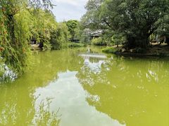 -人民公园(罗湖区)