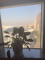 -小黑裙瑜伽·普拉提