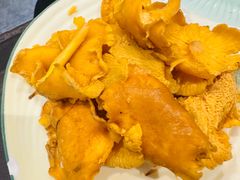 -菌之家·专业纯野生菌火锅·特色炒菌