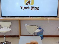 -翊宠yipet猫狗购宠庄园犬舍•猫舍