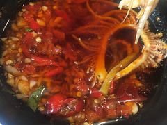 -钢管厂五区小郡肝火锅串串香(总店)