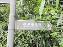 -海南热带雨林国家公园吊罗山景区