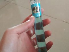 -通海俄式烧烤(下瓦房店)