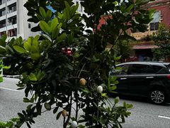 -丽丰茶冰室