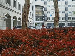 -湖北美术学院(昙华林校区)