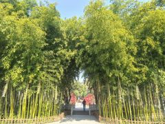 -东坡赤壁风景名胜区