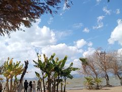 -捞渔河湿地公园
