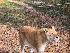 -深圳野生动物园
