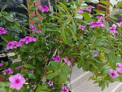 -木渎古镇