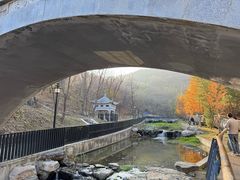 -白水寺森林公园