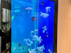 -长赢养生(平度店)