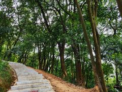 -黄埔油麻山森林公园