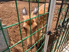 -清风小镇闯关东影视基地