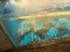 -码头鲜精致威海菜(欧乐坊店)