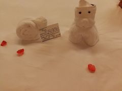 -三亚亚龙湾雅高铂尔曼别墅度假酒店