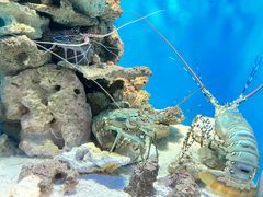 -鹿儿岛水族馆