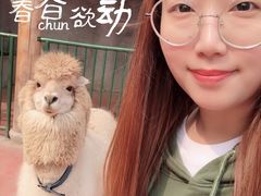 -无锡动物园·太湖欢乐园