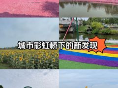 -苏州太湖西山岛开心农场