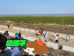 -南汇嘴观海公园