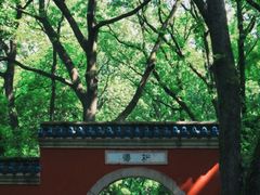 -灵谷景区