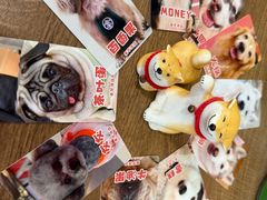 -和它·交个朋友·狗咖猫咖(爱琴海店)